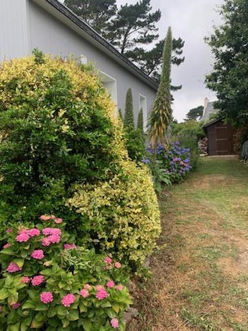 Maison 400M De La Plage Crozon Exterior photo